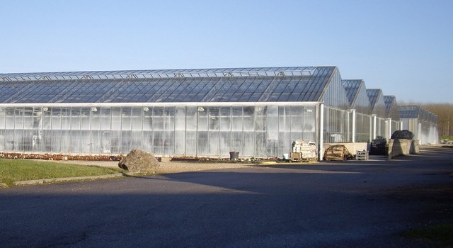 Serre agricole 4